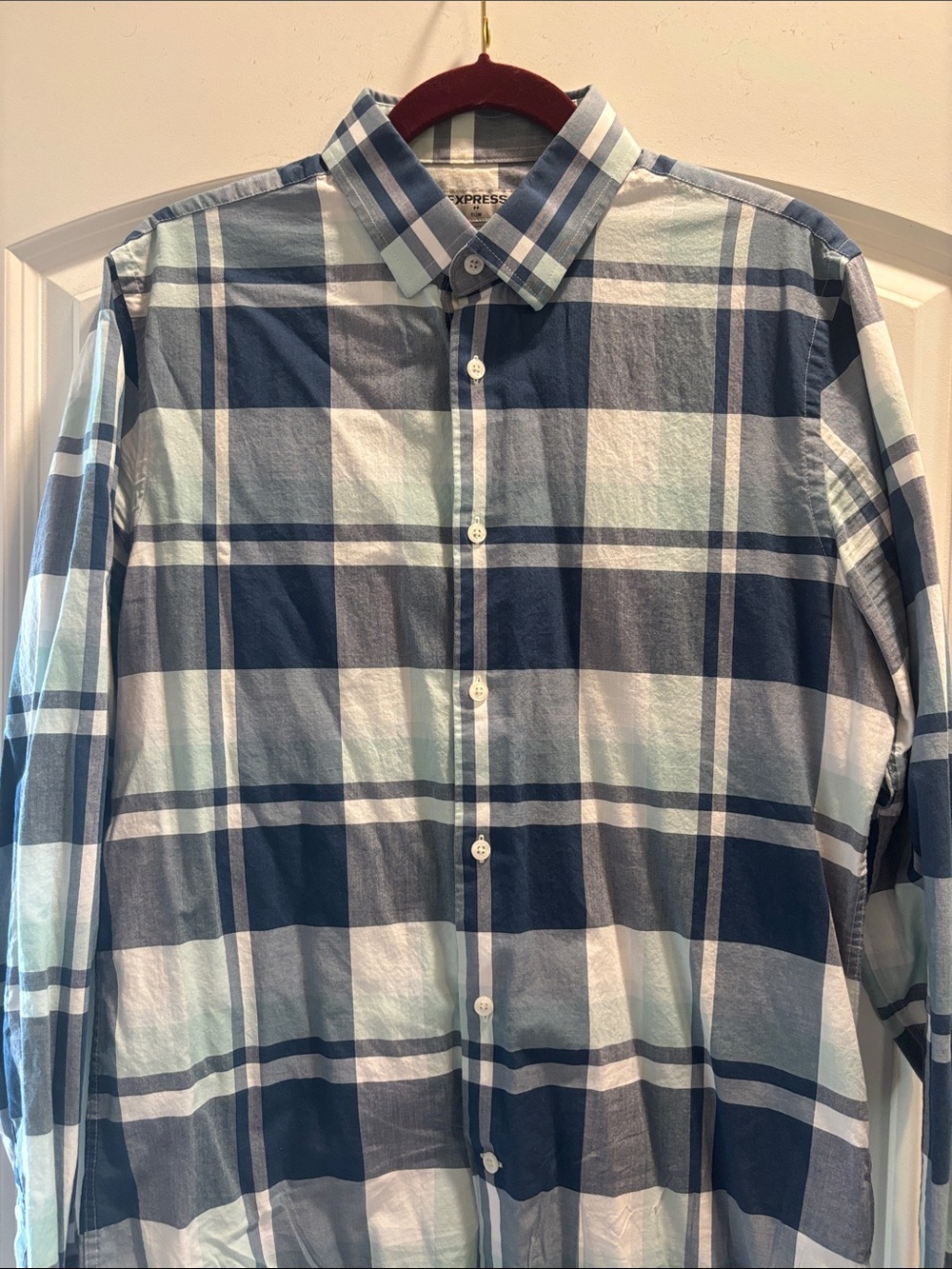 Express Men's Blue and White Plaid Button-Down Shirt